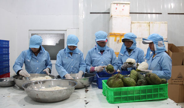Quy hoạch phát triển công nghiệp chế biến gắn với bảo đảm quốc phòng - an ninh