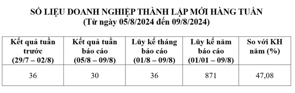 Số liệu doanh nghiệp thành lập mới từ 05/8/2024 đến ngày 09/8/2024