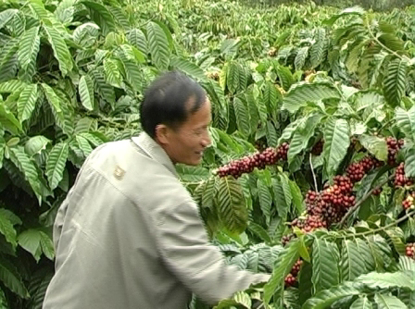 Hội Nông dân huyện Ea Kar: Nhiều phong trào thi đua đạt kết quả khá 