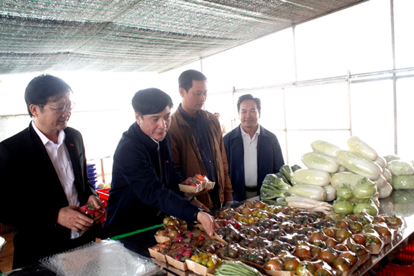 Đoàn công tác Thường trực Tỉnh ủy khảo sát các dự án nông nghiệp công nghệ cao