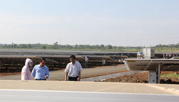 Nghị quyết 55 của Bộ Chính trị: Kỳ vọng đột phá cho năng lượng tái tạo