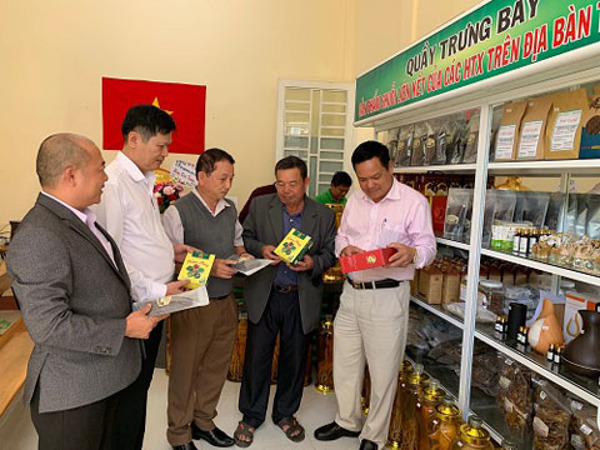 Kinh tế tập thể bị ảnh hưởng bởi dịch Covid-19 trong 6 tháng đầu năm 2020 và các chính sách hỗ trợ của nhà nước 